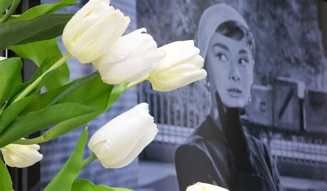 haags museum audrey hepburn